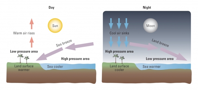 Land-Sea-Breezes