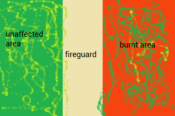 Fireguard diagram