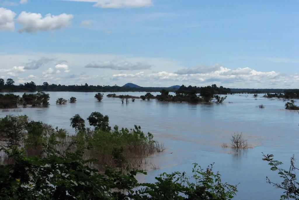 Ramsar Site Floodplain on the Mekong River, Cambodia